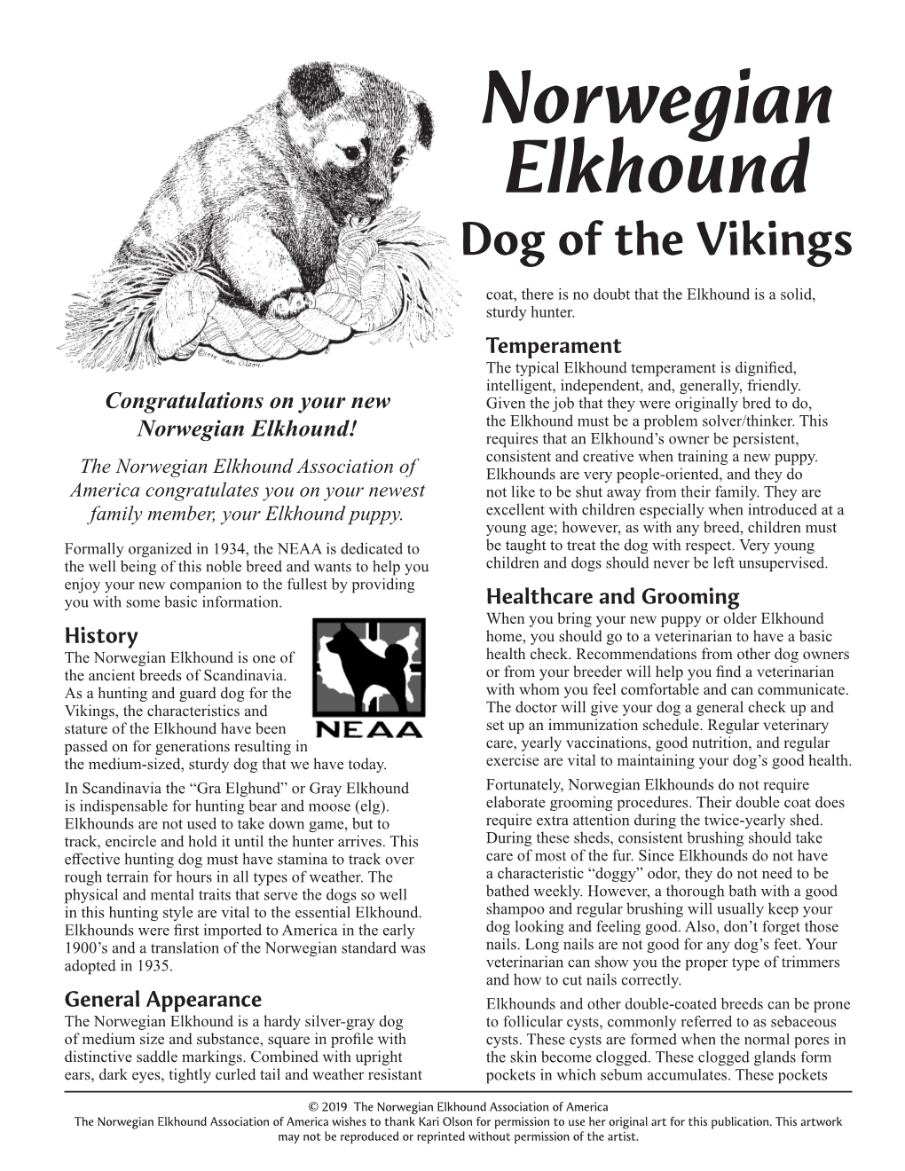 Norwegian Elkhound Dog of the Vikings Coat, There Is No Doubt That the Elkhound Is a Solid, Sturdy Hunter