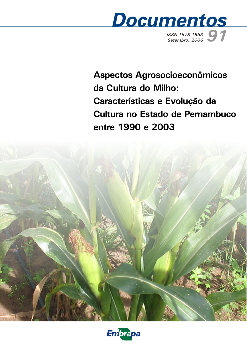 Aspectos Agrosocioeconômicos Da Cultura Do Milho: Características E Evolução Da Cultura No Estado De Pernambuco Entre 1990 E 2003 ISSN 1678-1953 Setembro, 2006