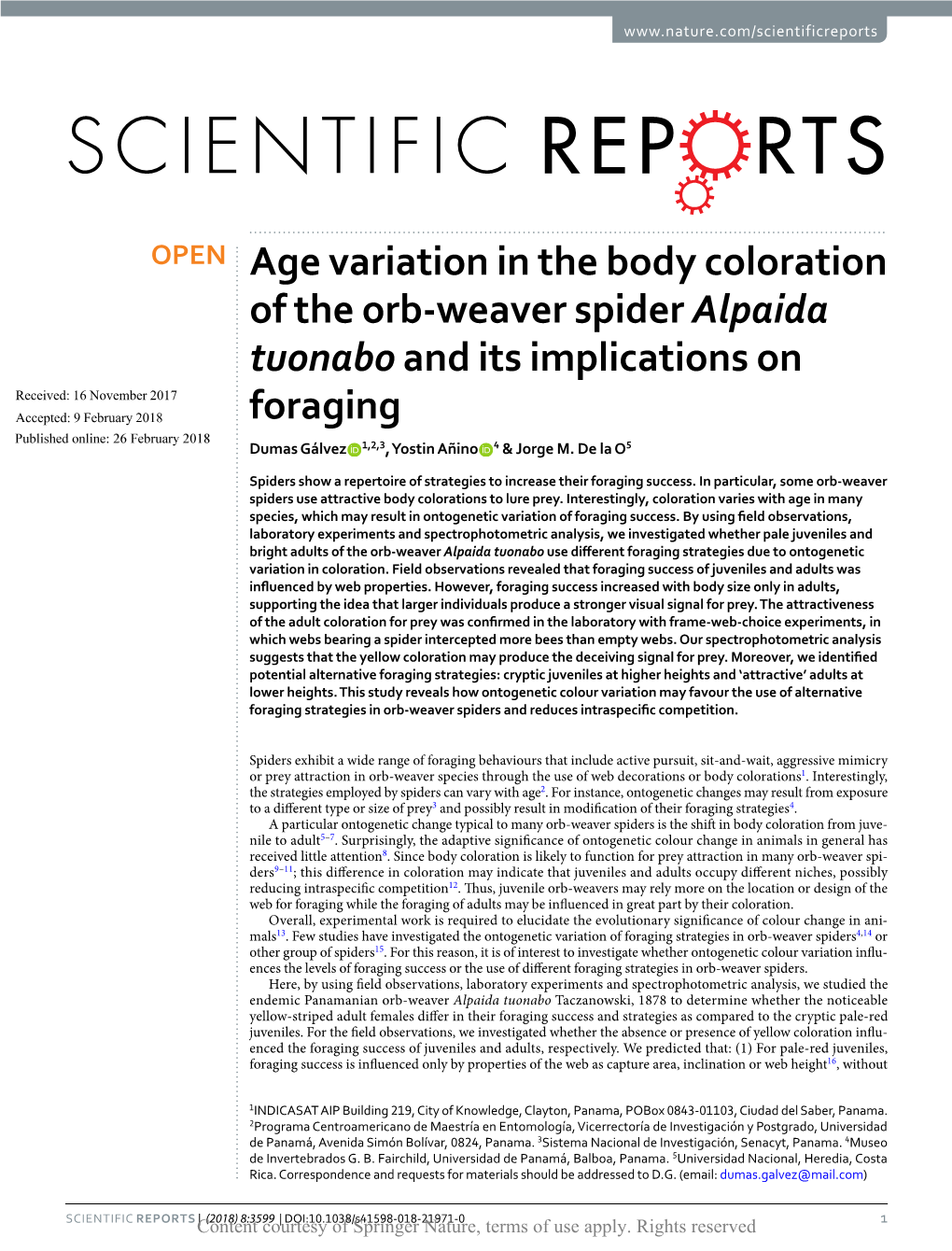 Age Variation in the Body Coloration of the Orb-Weaver