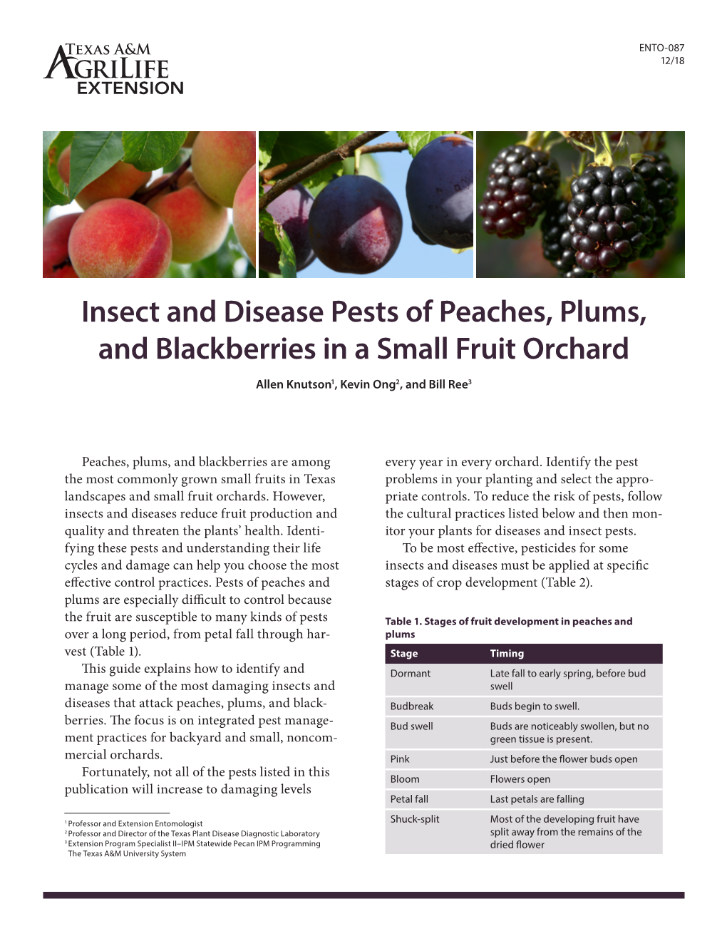 Insect and Disease Pests of Peaches, Plums, and Blackberries in a Small Fruit Orchard