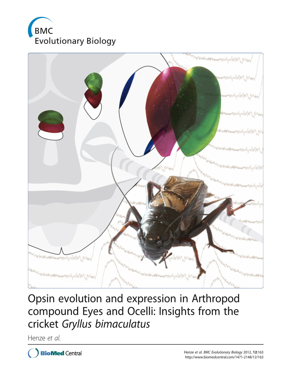 Opsin Evolution and Expression in Arthropod Compound Eyes and Ocelli: Insights from the Cricket Gryllus Bimaculatus Henze Et Al