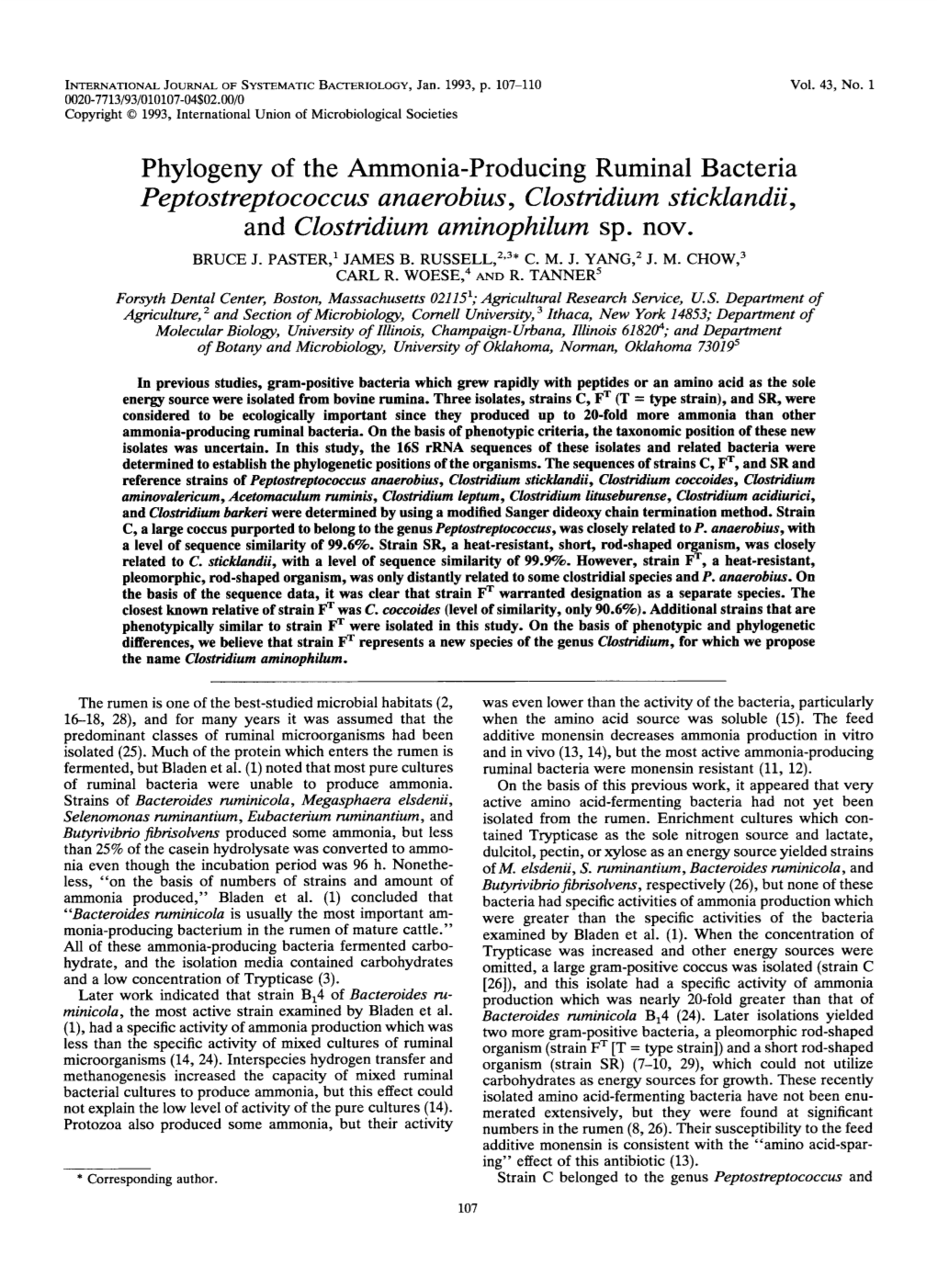 Phylogeny of the Ammonia-Producing Ruminal Bacteria Peptostreptococcus Anaerobius, Clostridium Sticklandii, and Clostridium Aminophilum Sp