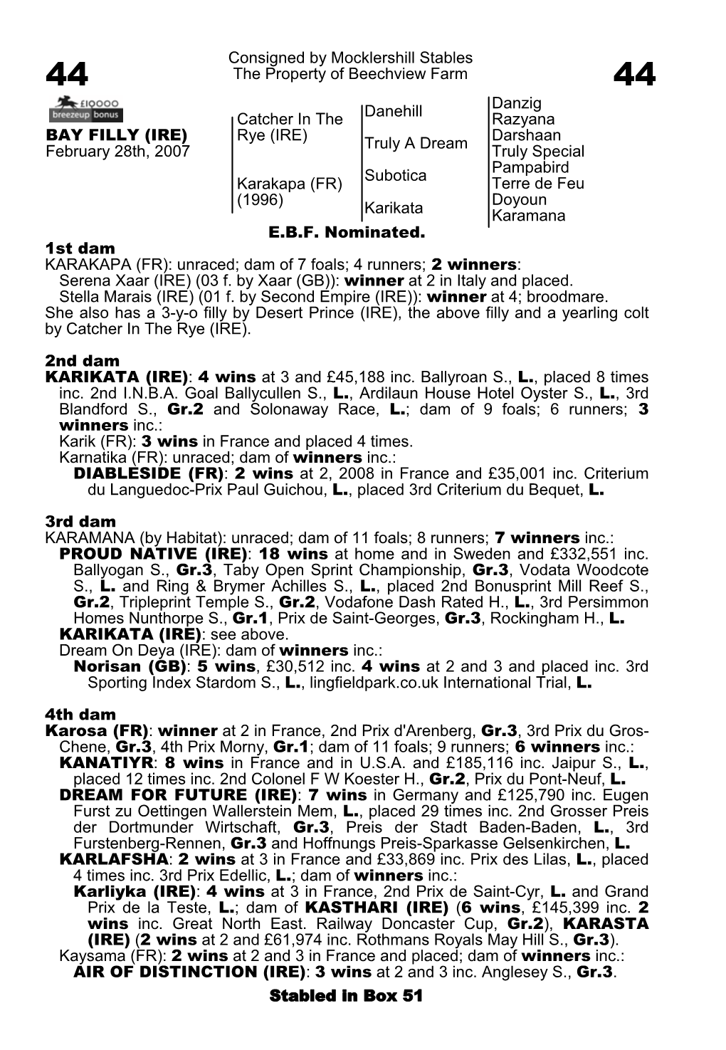 Consigned by Mocklershill Stables the Property of Beechview Farm Danehill Danzig Razyana Catcher in the Rye (IRE) Truly a Dream