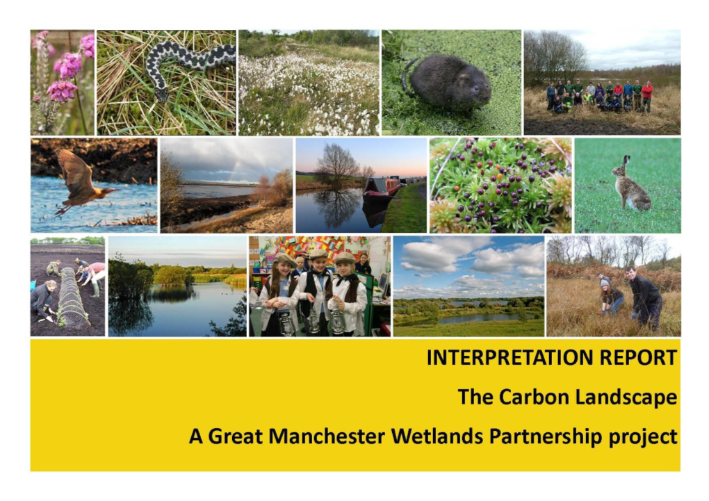 12. the Carbon Landscape Interpretation Report Final Nov2014