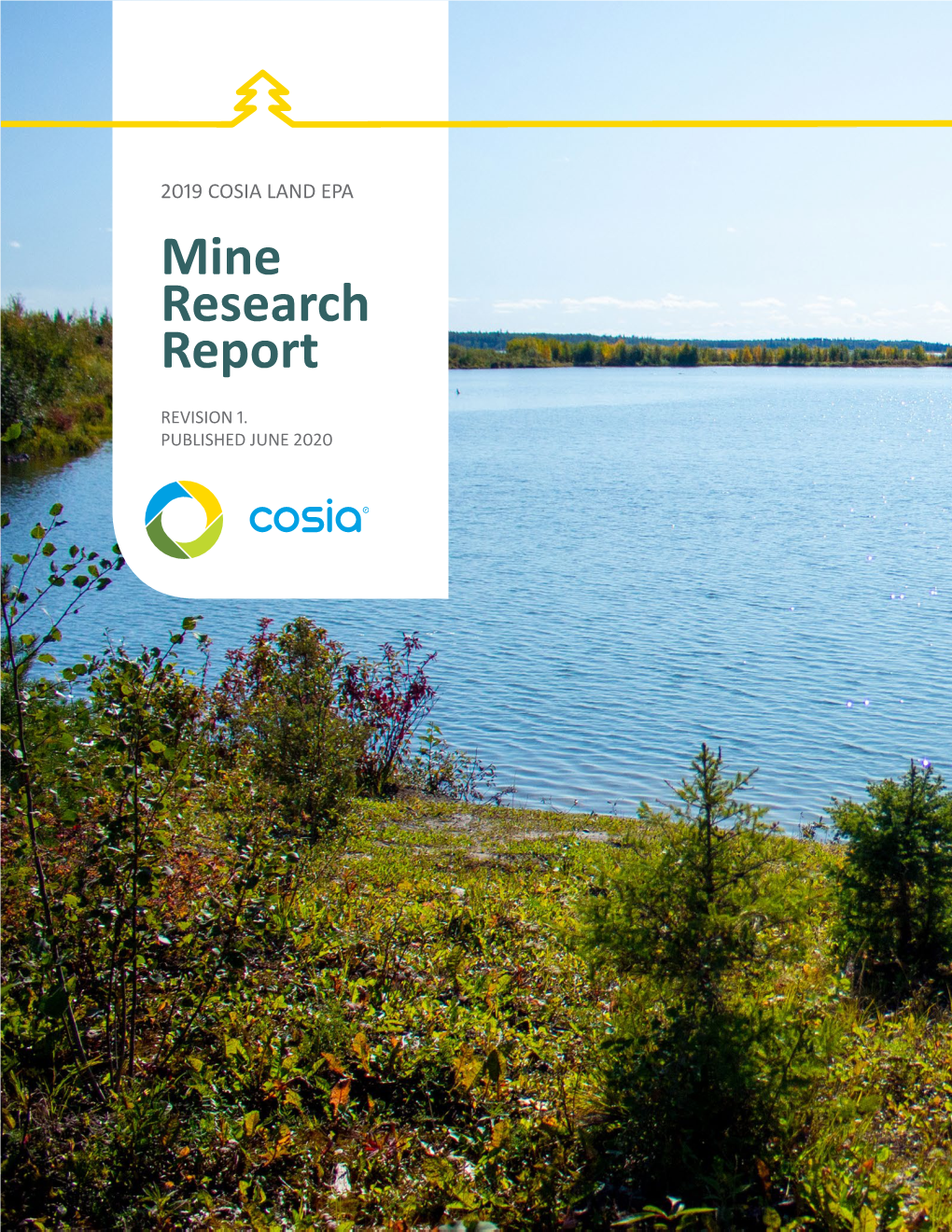 Mine Research Report
