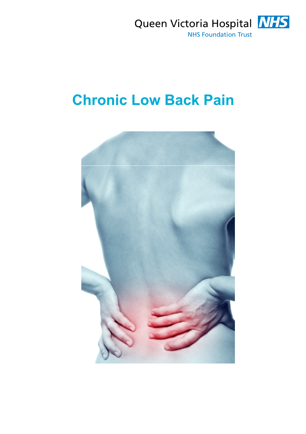 Chronic Low Back Pain This Leaflet Has Been Produced by Senior Physiotherapists Working at the Queen Victoria Hospital NHS Foundation Trust