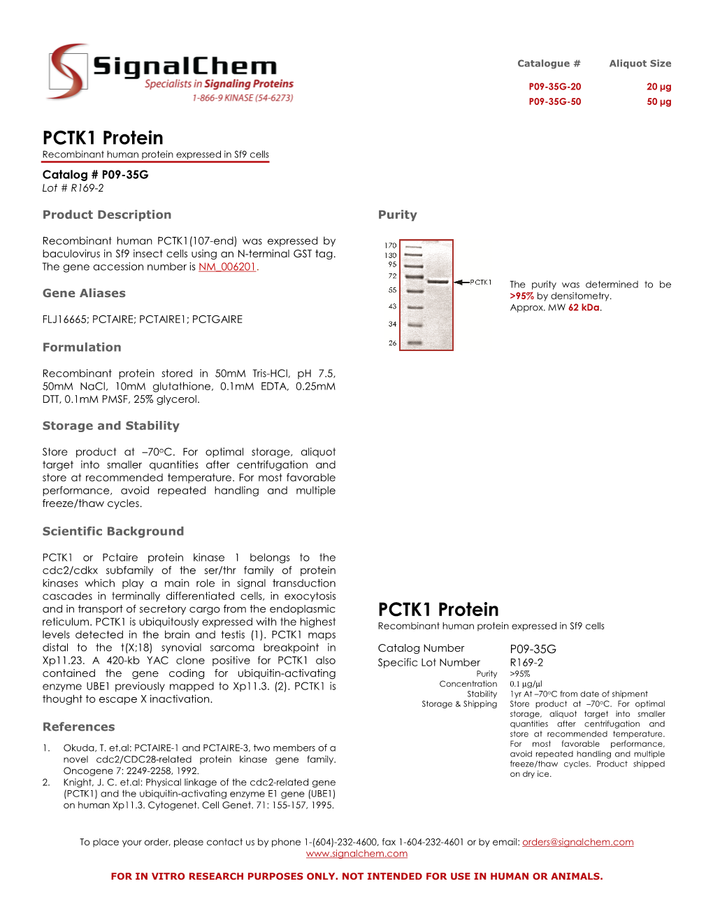 PCTK1 Protein PCTK1 Protein