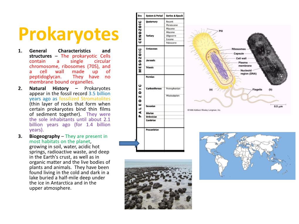 Prokaryotes 1