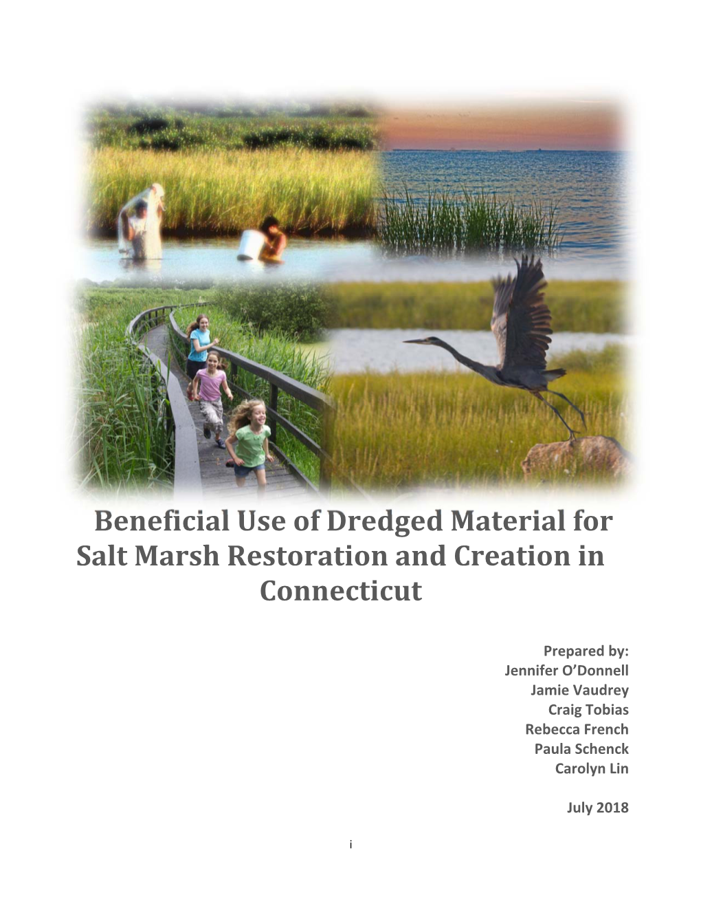 Beneficial Use of Dredged Material for Salt Marsh Restoration and Creation in Connecticut