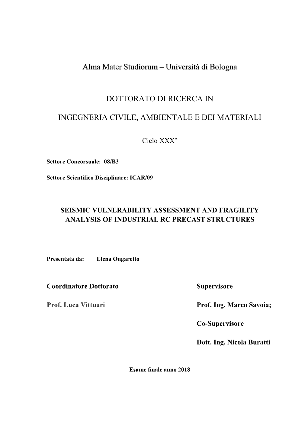 Phd Thesis Ongaretto