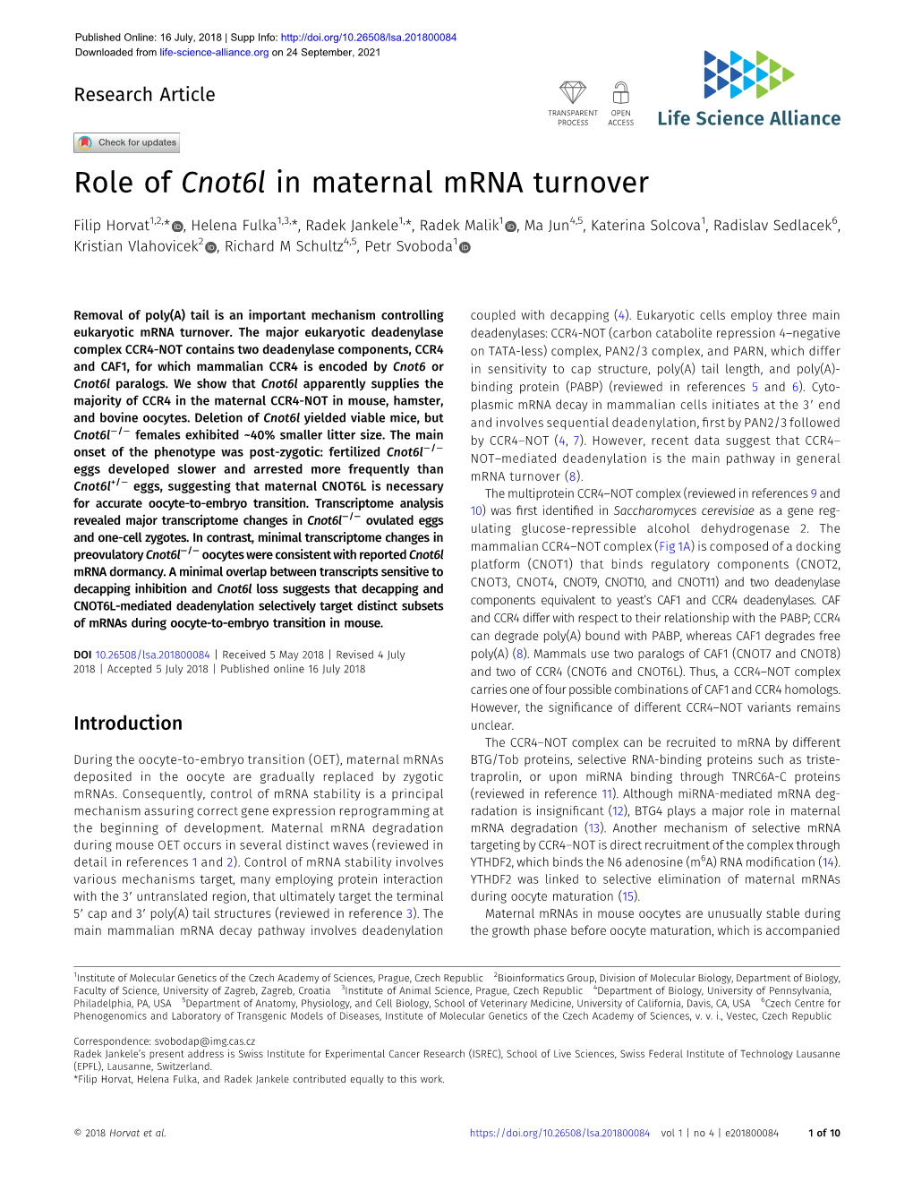 Role of Cnot6l in Maternal Mrna Turnover