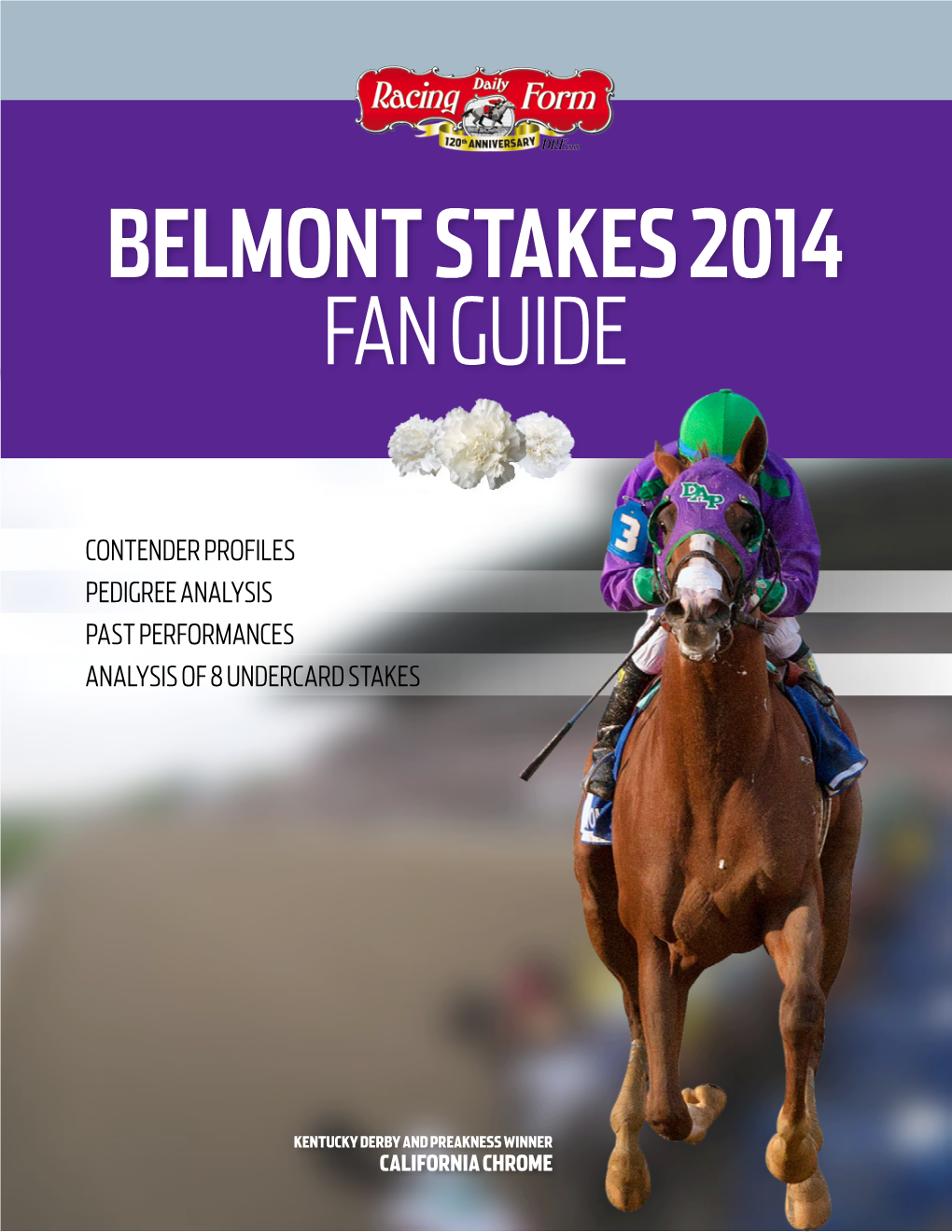 Belmont Stakes 2014 Fan Guide