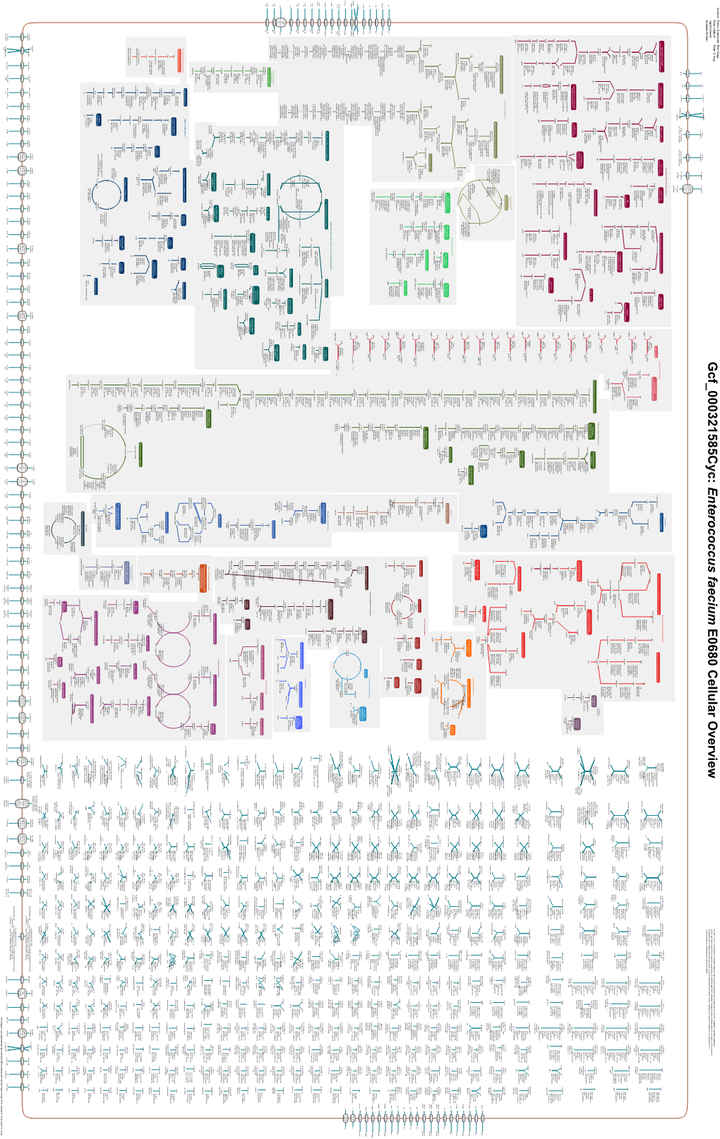 Generated by SRI International Pathway Tools Version 25.0, Authors S