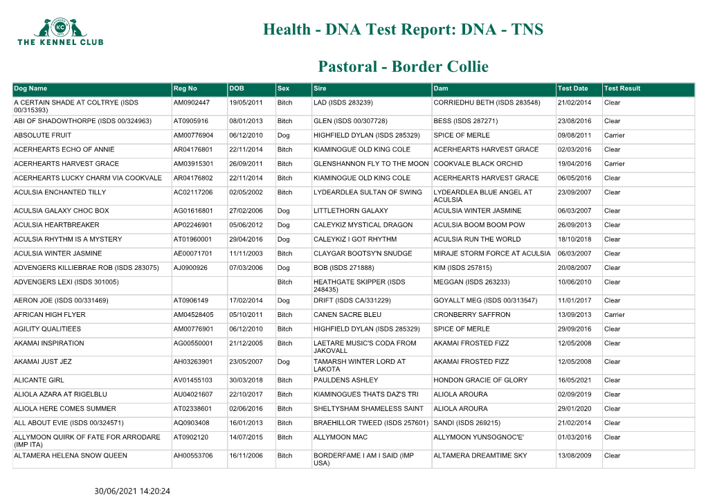 DNA Test Report: DNA - TNS