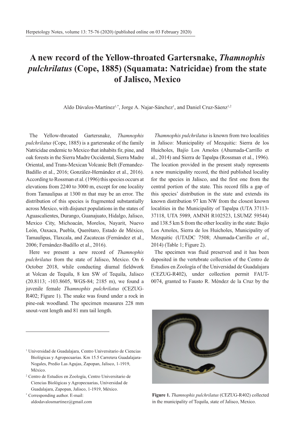 A New Record of the Yellow-Throated Gartersnake, Thamnophis Pulchrilatus (Cope, 1885) (Squamata: Natricidae) from the State of Jalisco, Mexico
