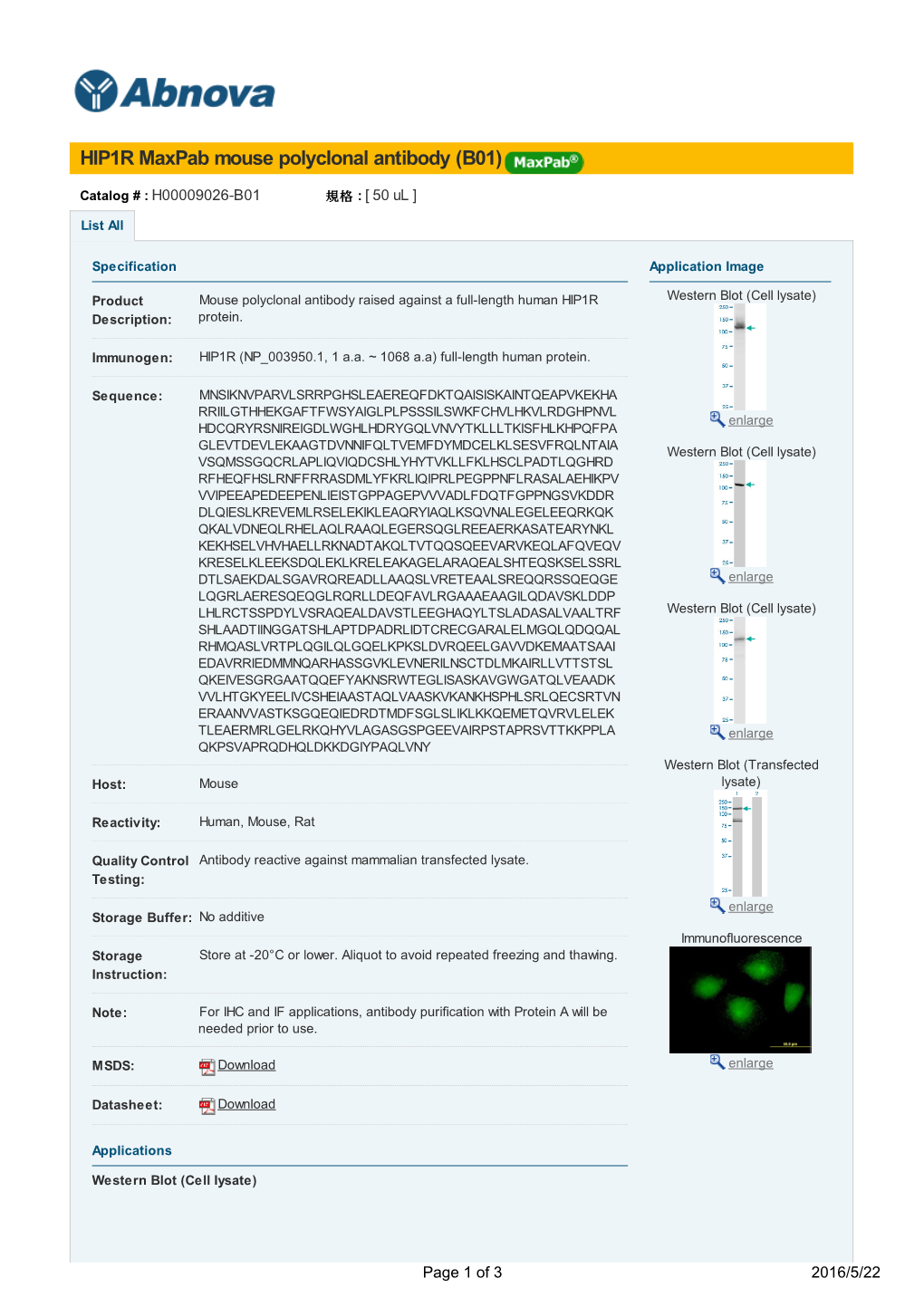 HIP1R Maxpab Mouse Polyclonal Antibody (B01)