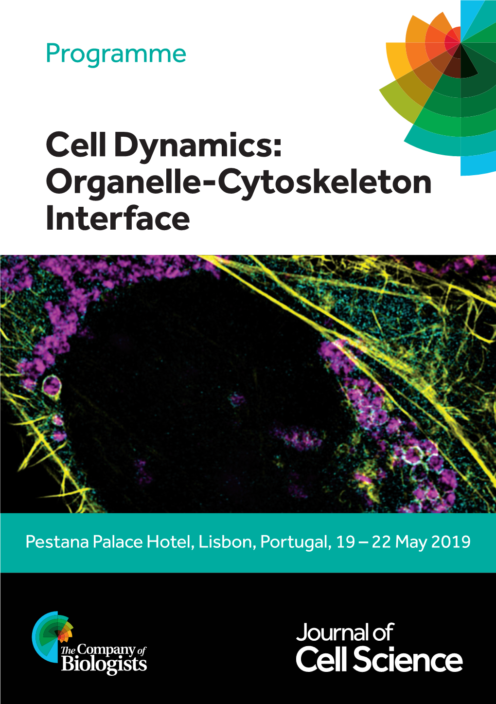 Cell Dynamics: Organelle-Cytoskeleton Interface