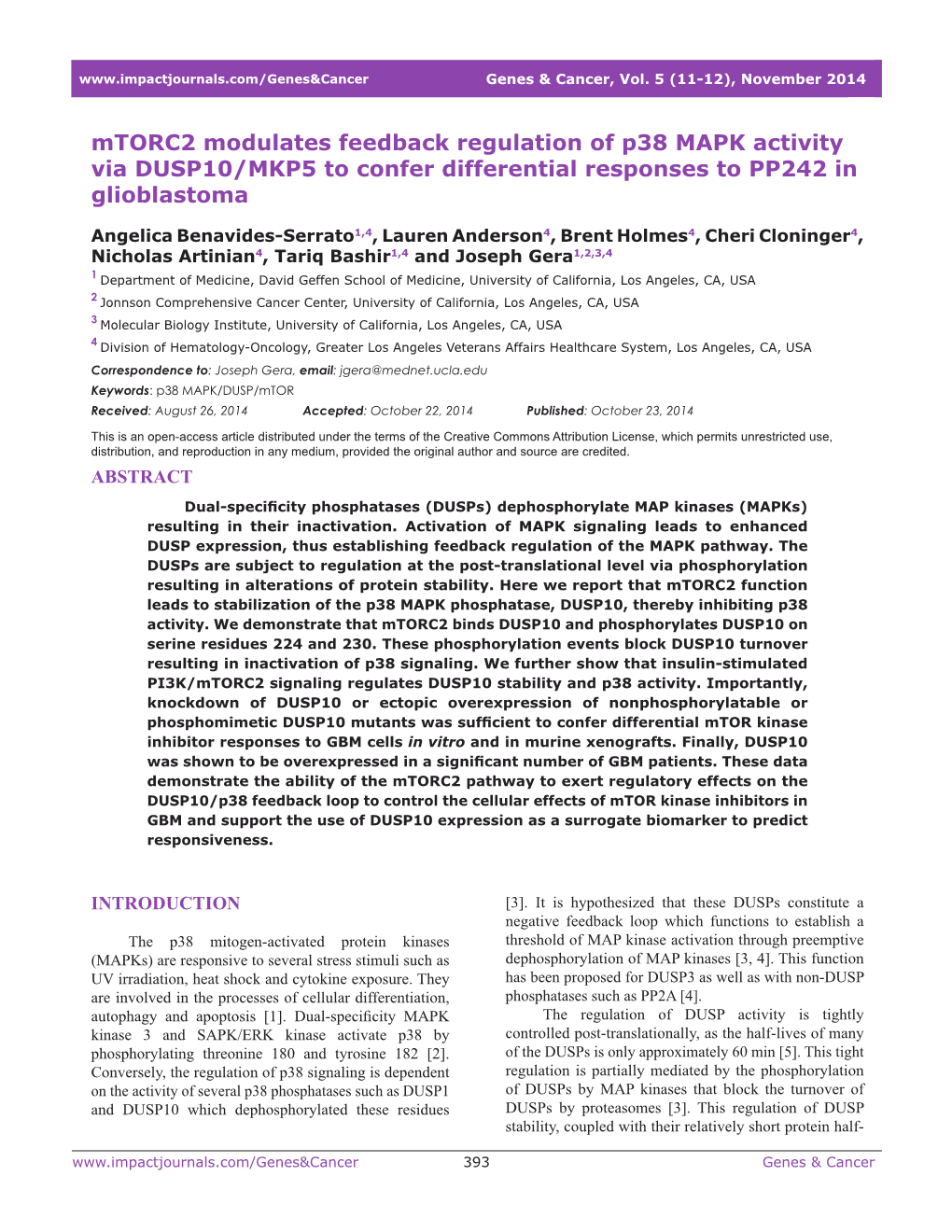 Mtorc2 Modulates Feedback Regulation of P38 MAPK Activity Via DUSP10/MKP5 to Confer Differential Responses to PP242 in Glioblastoma