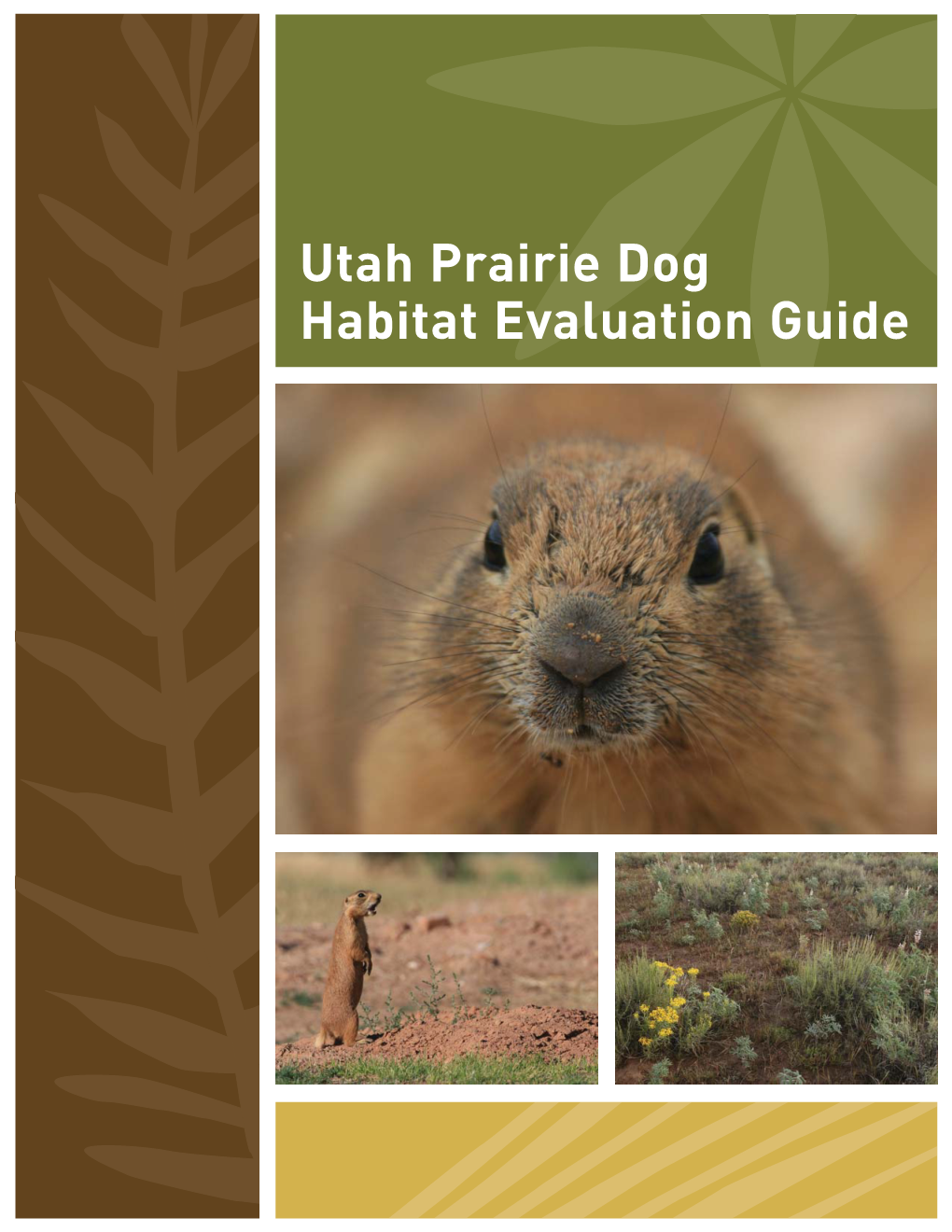 Utah Prairie Dog Habitat Evaluation Guide