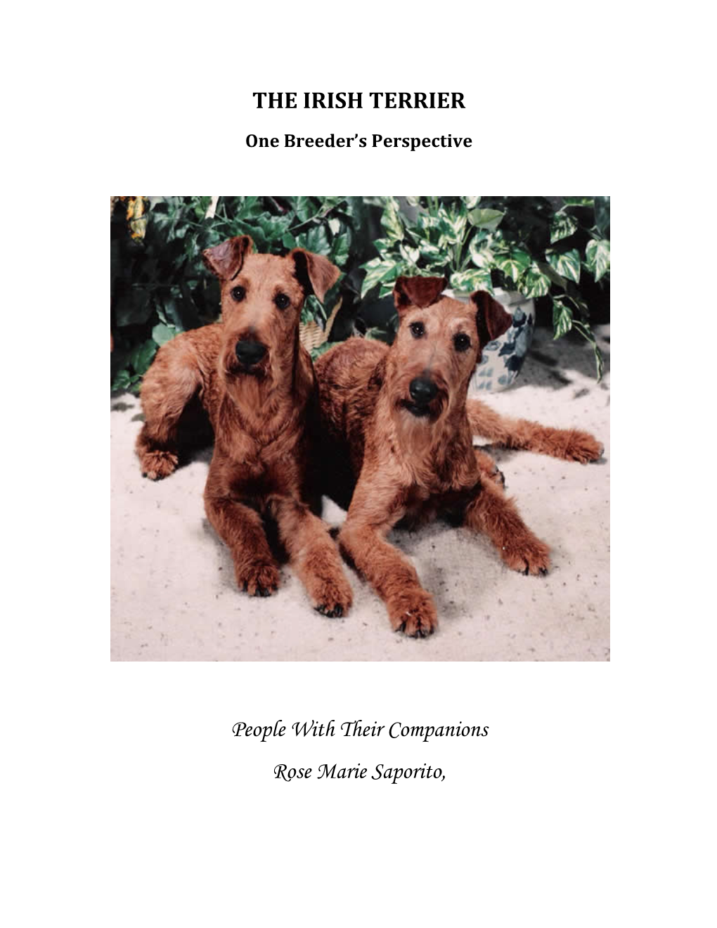 THE IRISH TERRIER People with Their