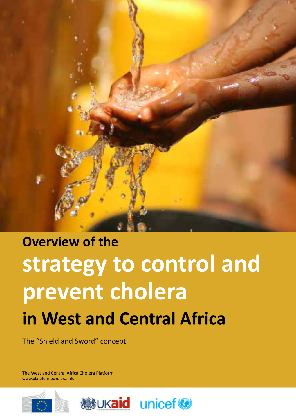 Strategy to Control and Prevent Cholera in West and Central Africa