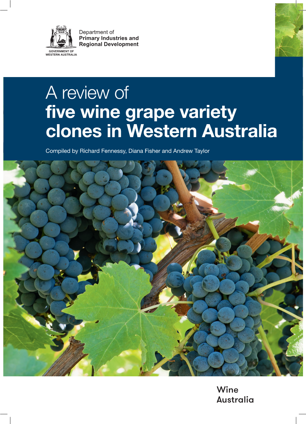 A Review of Five Wine Grape Variety Clones in WA