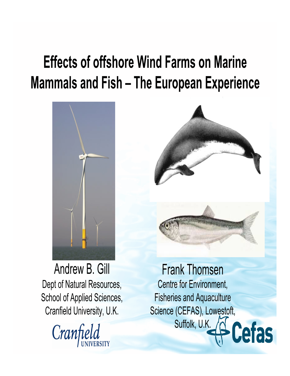 Effects of Offshore Wind Farms on Marine Mammals and Fish – the European Experience