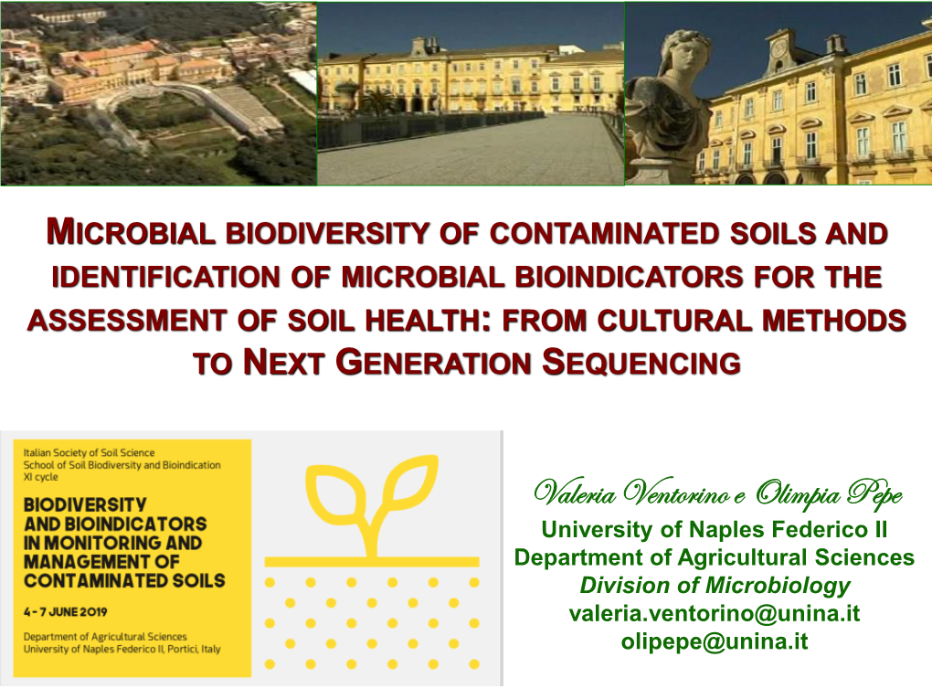 Total Genomic DNA Extraction from Soil Samples