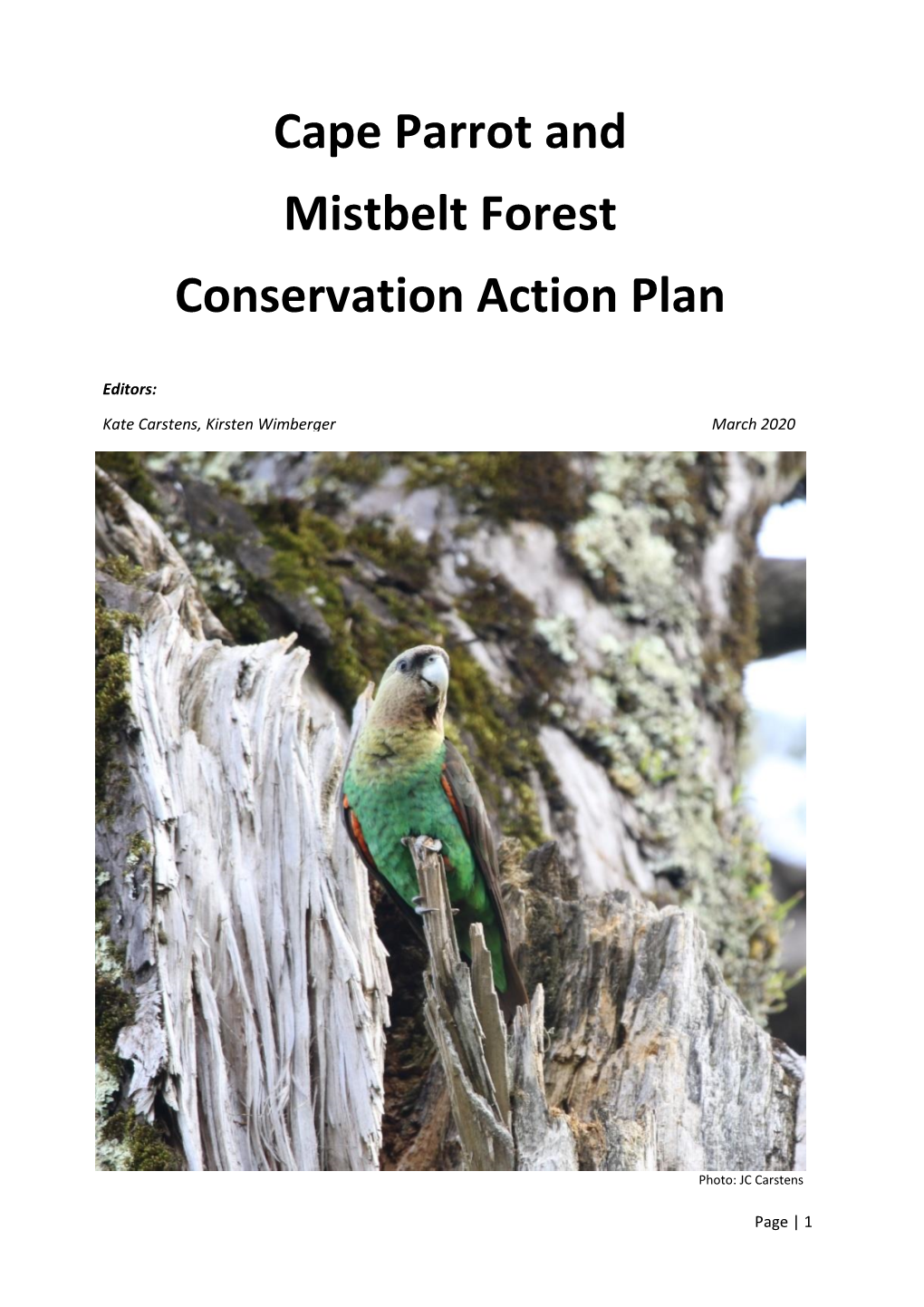 Cape Parrot and Mistbelt Forest Conservation Action Plan