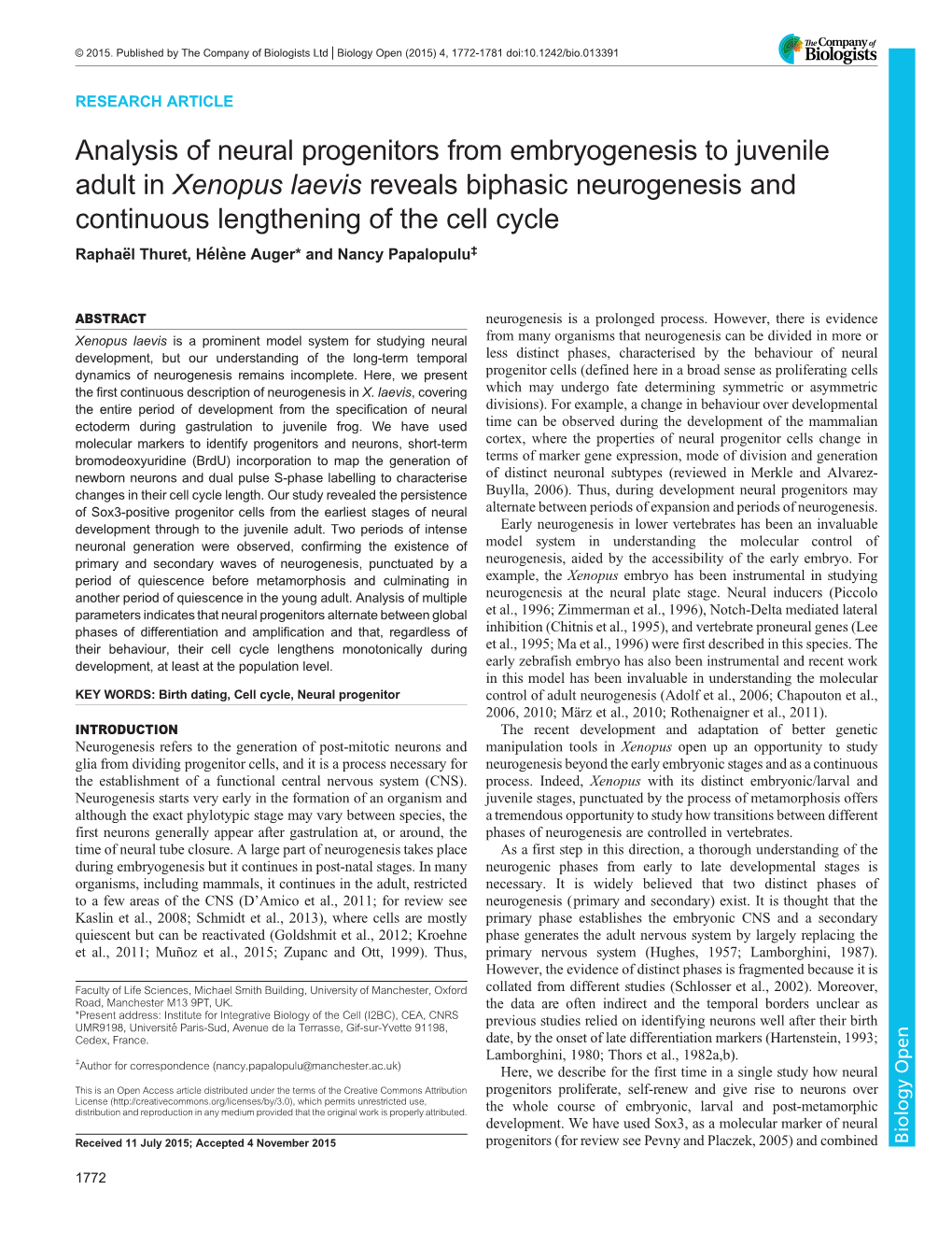 Analysis of Neural Progenitors from Embryogenesis to Juvenile Adult In