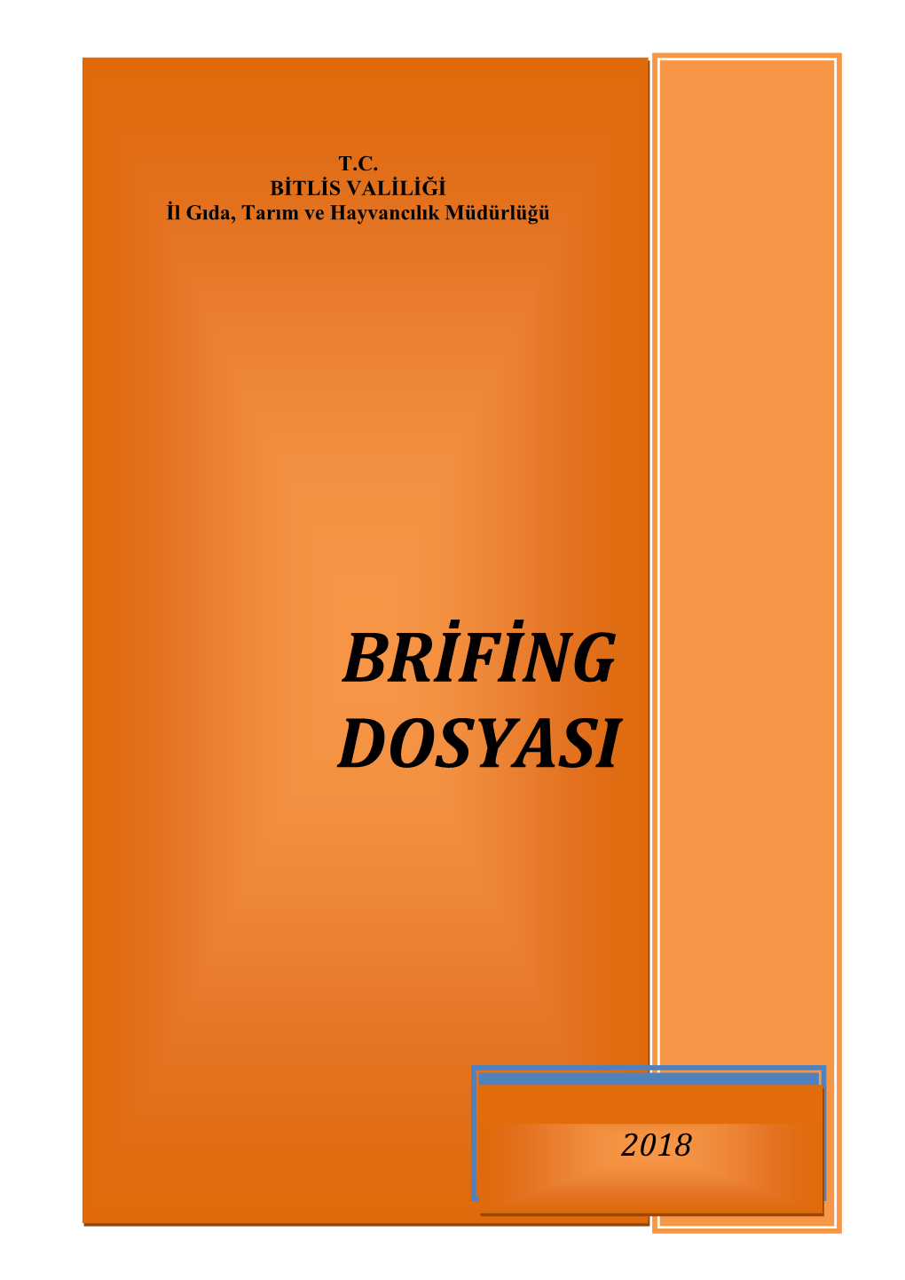 Brifing Dosyasi