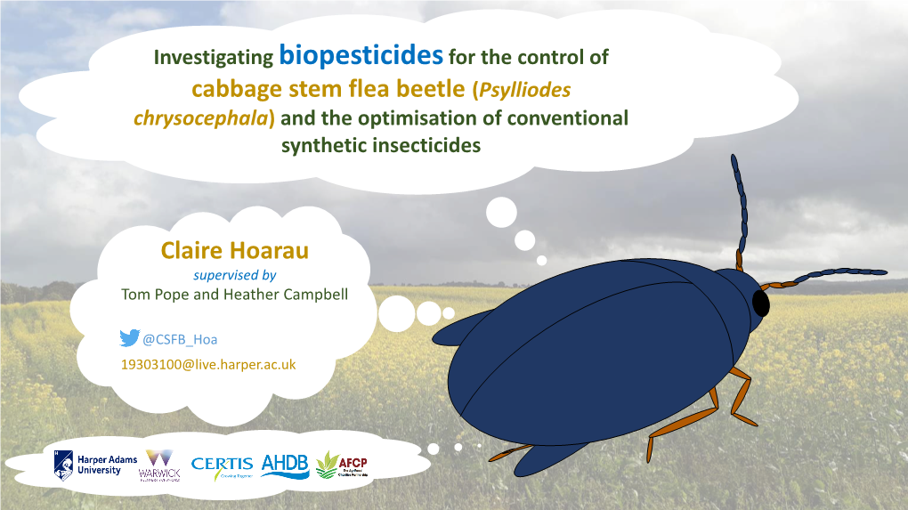 Investigating Biopesticides for the Control of Cabbage Stem Flea Beetle (Psylliodes Chrysocephala) and the Optimisation of Conventional Synthetic Insecticides