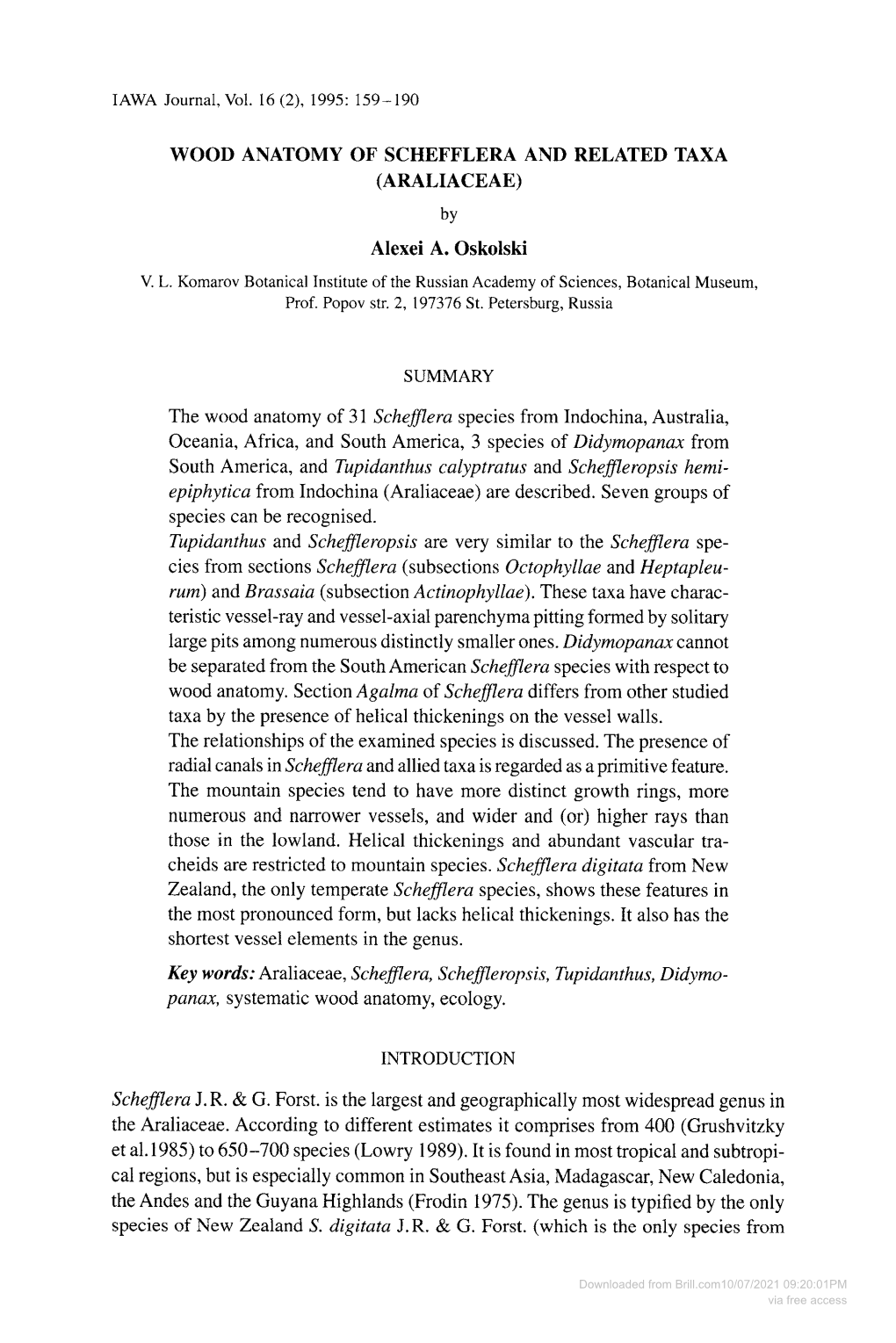 WOOD ANATOMY of SCHEFFLERA and RELATED TAXA (ARALIACEAE) by Alexei A