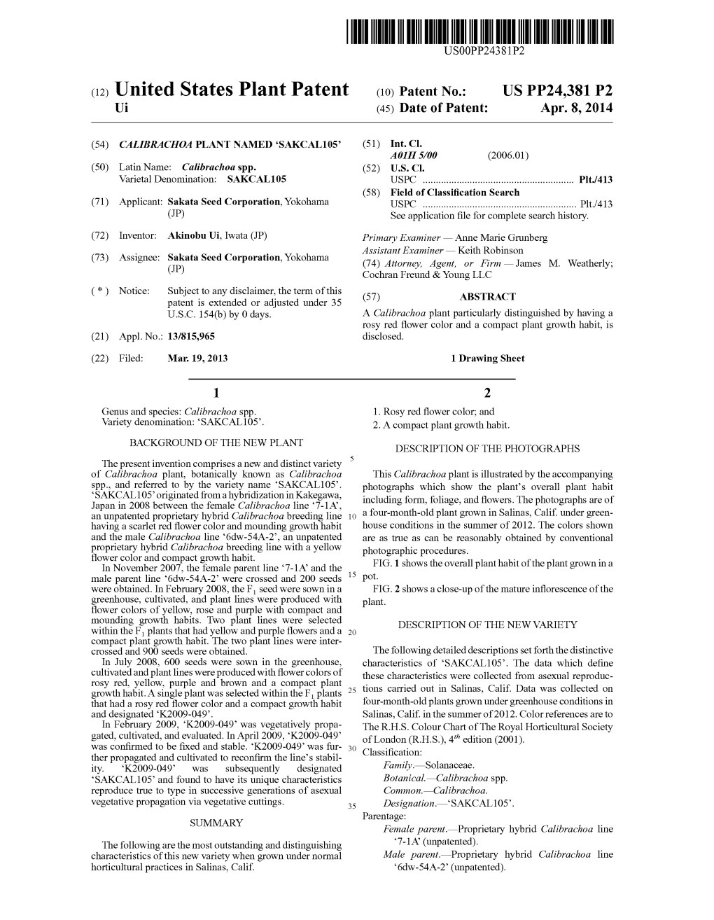 (12) United States Plant Patent (10) Patent No.: US PP24,381 P2 Ui (45) Date of Patent: Apr