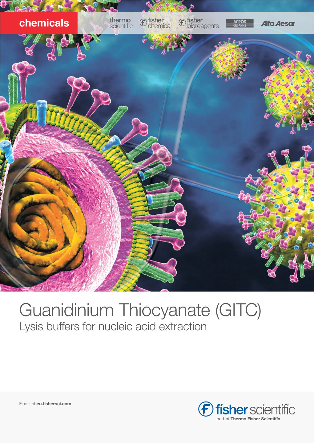 Guanidinium Thiocyanate (GITC) Lysis Buffers for Nucleic Acid Extraction