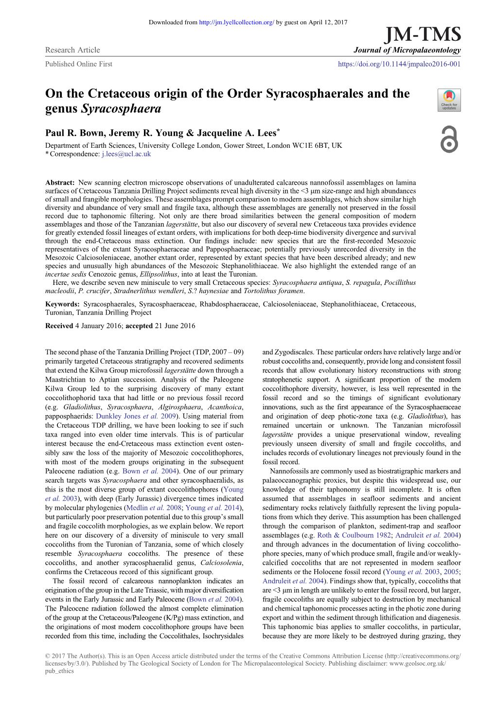 On the Cretaceous Origin of the Order Syracosphaerales and the Genus Syracosphaera