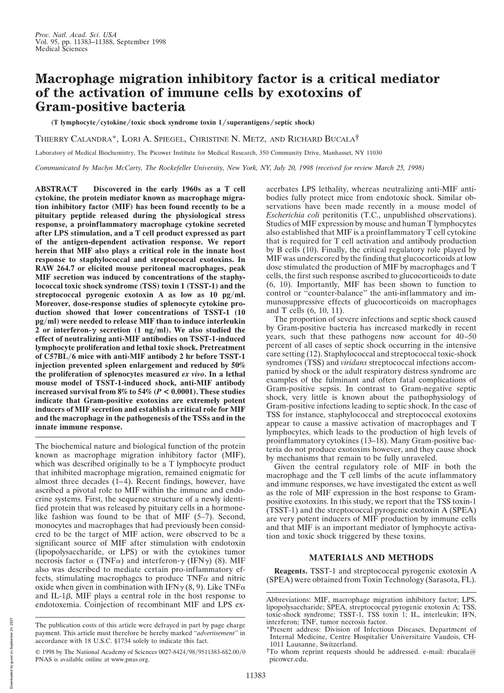 Macrophage Migration Inhibitory Factor Is a Critical Mediator of The