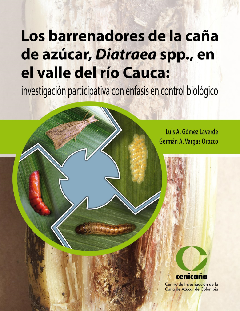 Gomez-2014-Biocontrol-Of-Sugarcane-Borers.Pdf