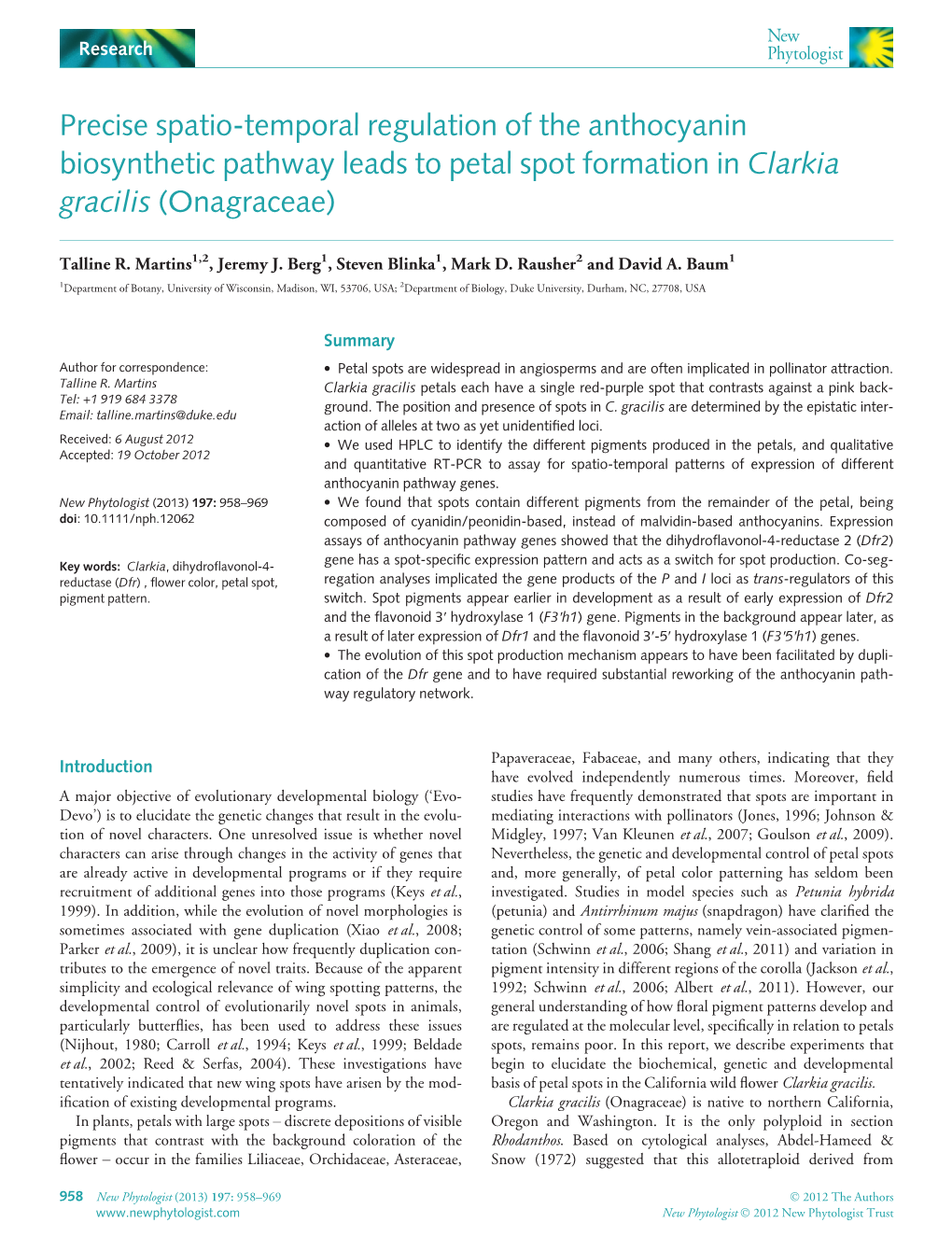 Precise Spatiotemporal Regulation of the Anthocyanin