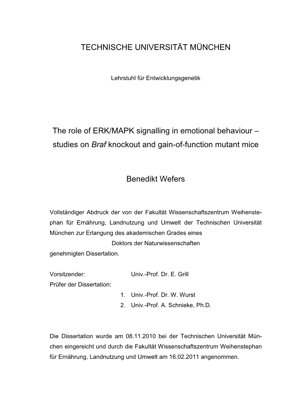 The ERK/MAPK Signalling in Emotional Behaviour – Studies On