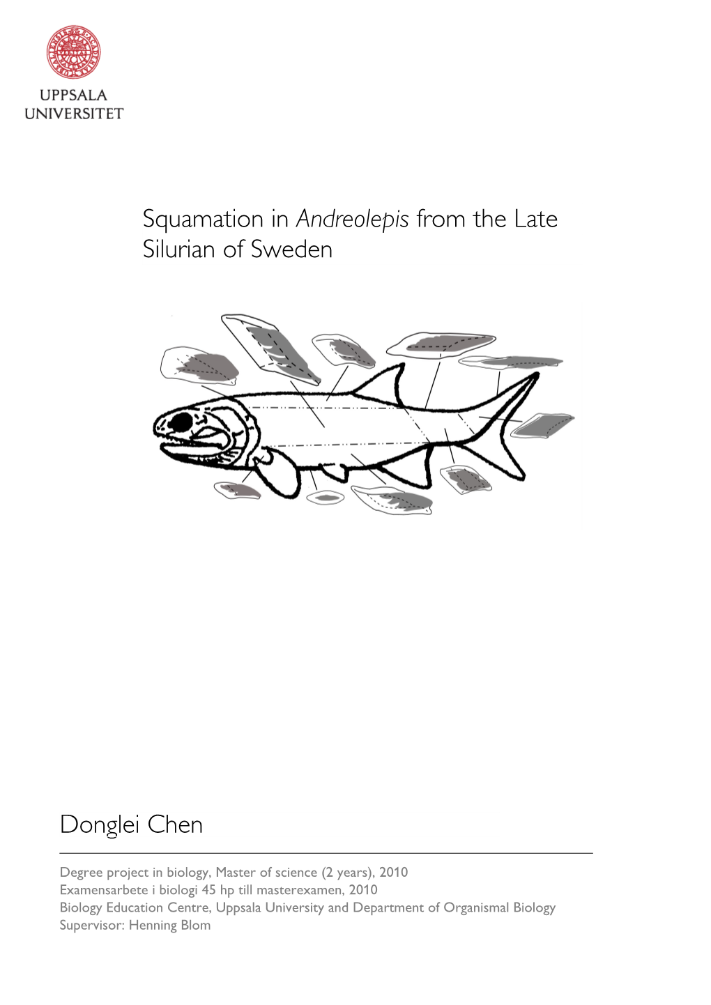 Scale Squamation in Andreolepis from the Late Silurian of Sweden