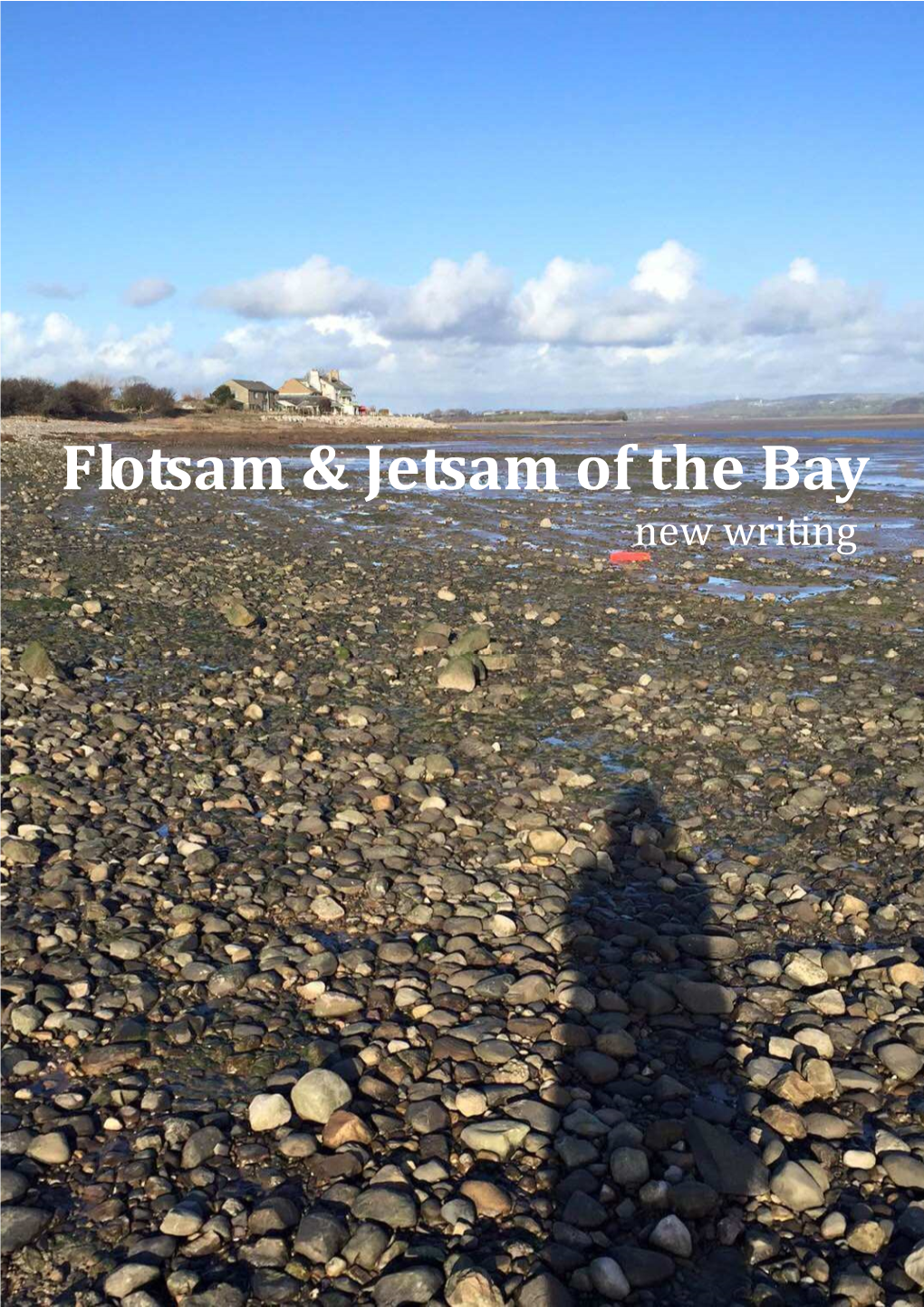 Flotsam and Jetsam of the Bay.Pub