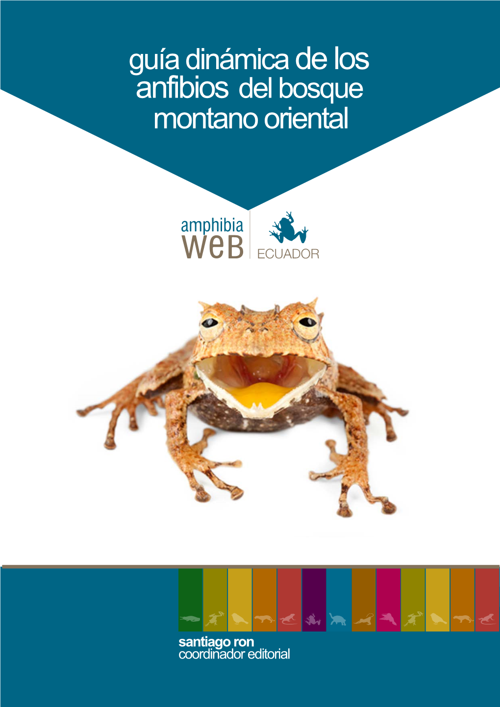 Anfibios Del Bosque Montano Oriental