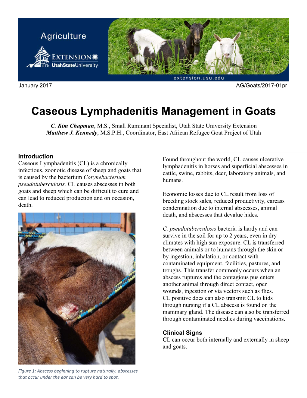 Caseous Lymphadenitis Management in Goats C