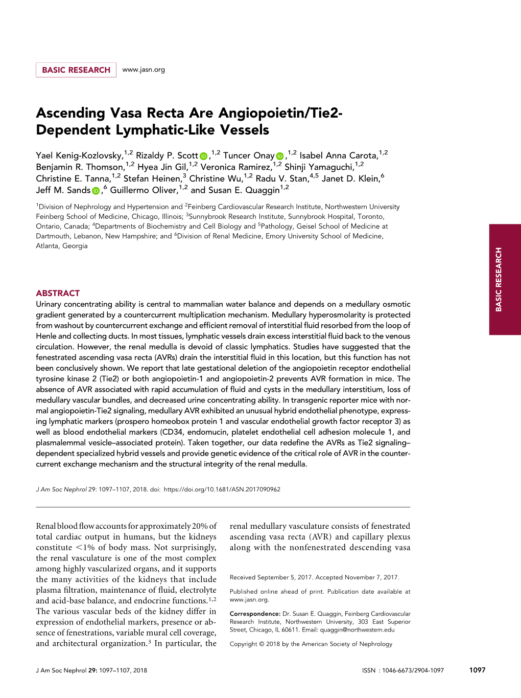 Ascending Vasa Recta Are Angiopoietin/Tie2-Dependent