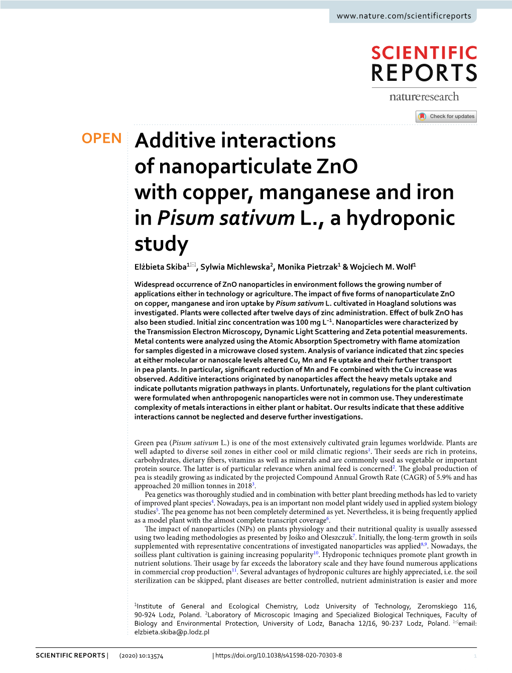 Additive Interactions of Nanoparticulate Zno with Copper