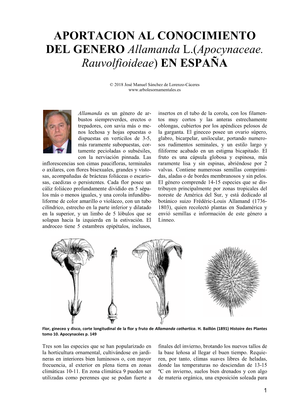 APORTACION AL CONOCIMIENTO DEL GENERO Allamanda L.(Apocynaceae
