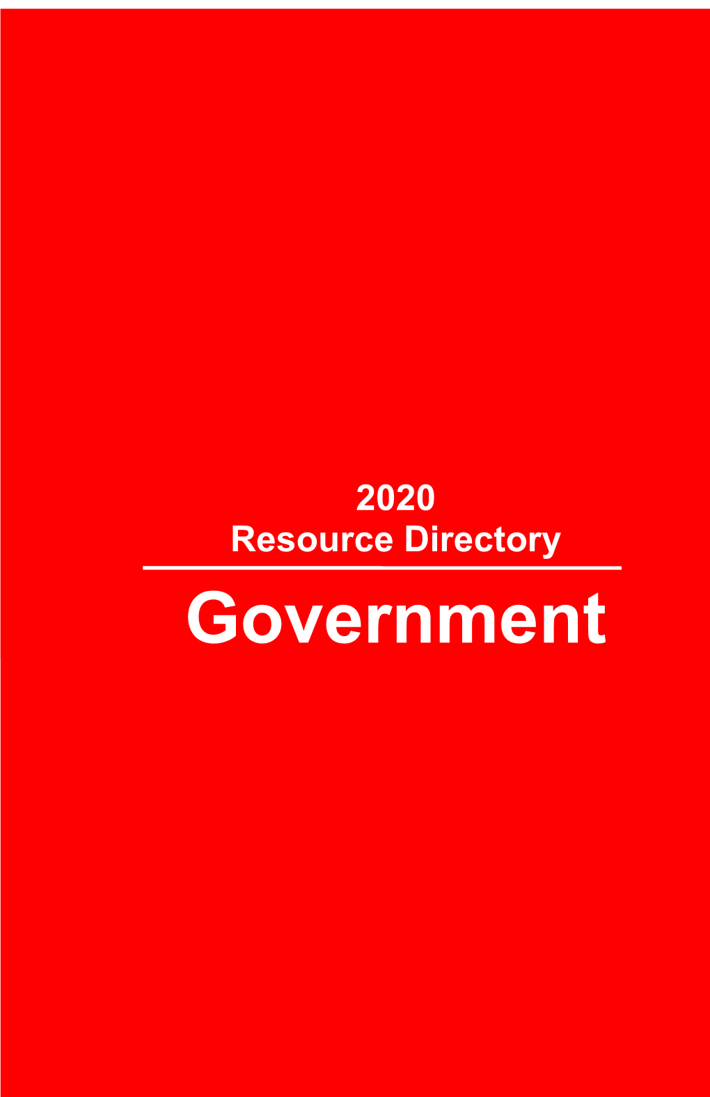 Government 2008