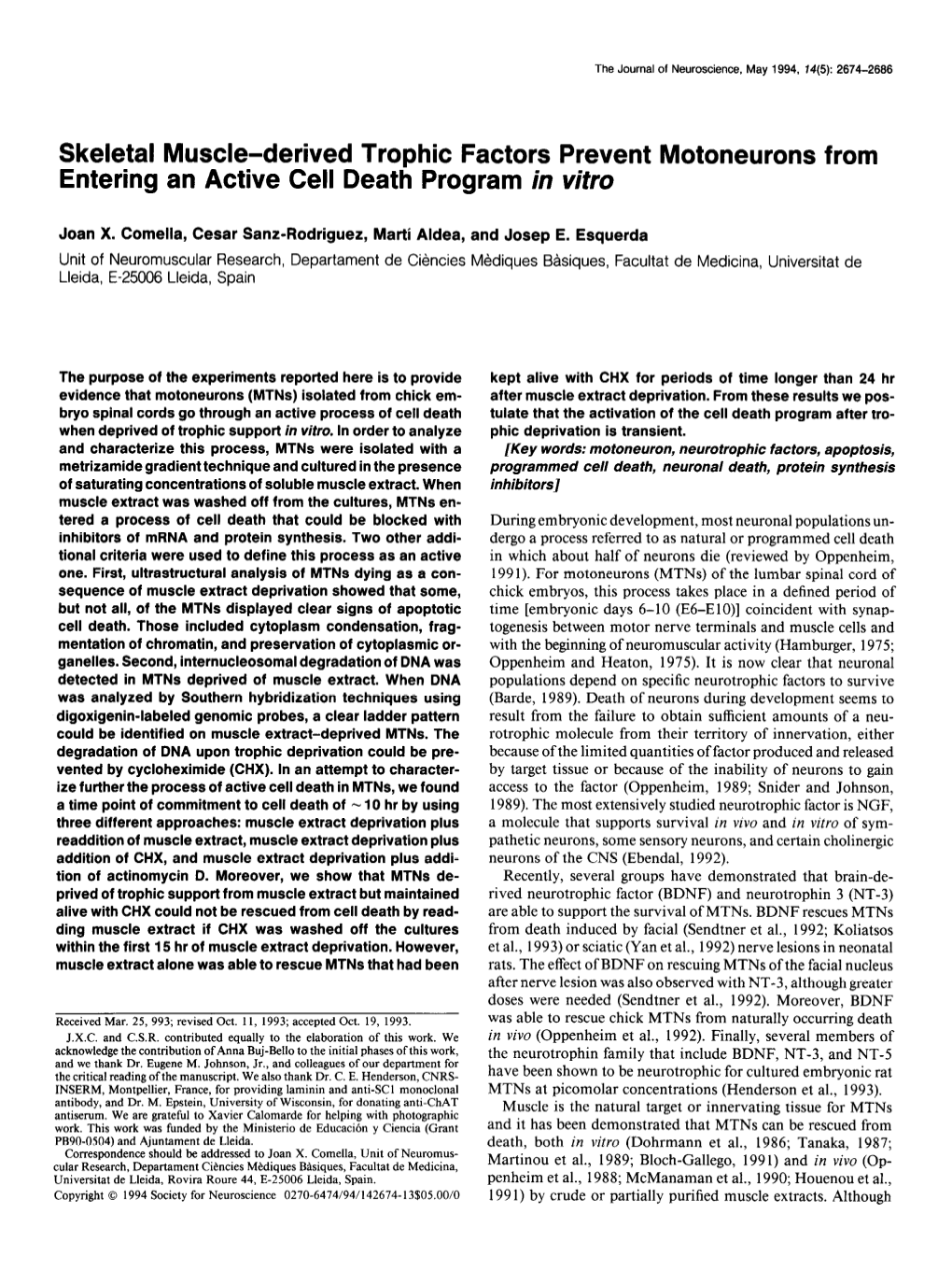 Skeletal Muscle-Derived Trophic Factors Prevent Motoneurons from Entering an Active Cell Death Program in Vitro