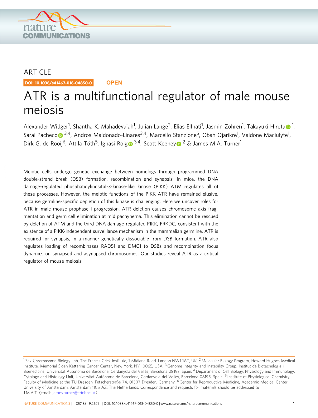 ATR Is a Multifunctional Regulator of Male Mouse Meiosis